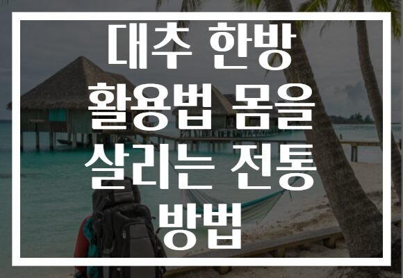 대추 한방 활용법 몸을 살리는 전통 방법