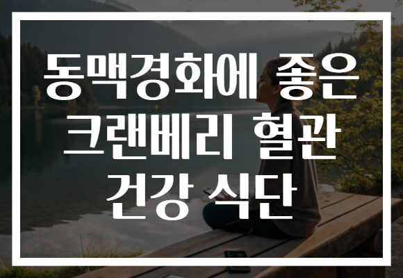 동맥경화에 좋은 크랜베리 혈관 건강 식단