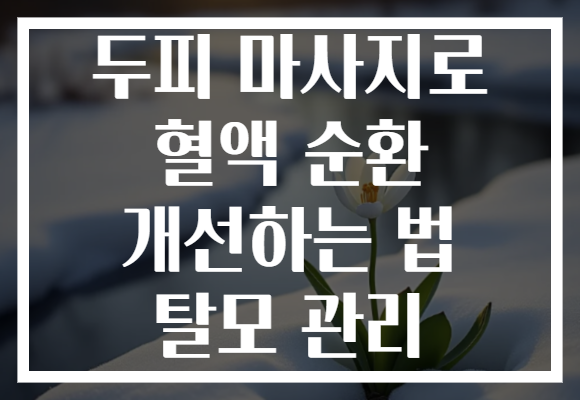 두피 마사지로 혈액 순환 개선하는 법 탈모 관리