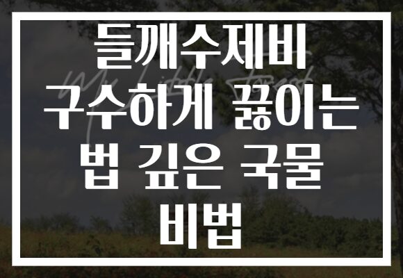 들깨수제비 구수하게 끓이는 법 깊은 국물 비법