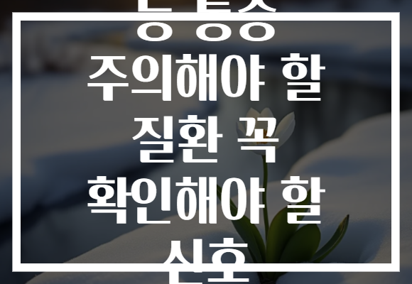 등 통증 주의해야 할 질환 꼭 확인해야 할 신호