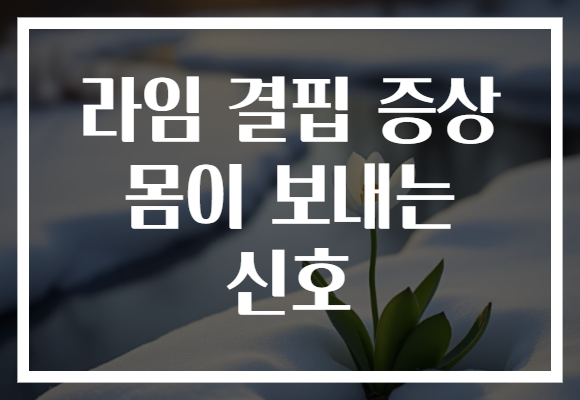 라임 결핍 증상 몸이 보내는 신호