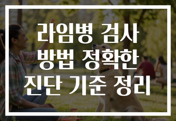 라임병 검사 방법 정확한 진단 기준 정리