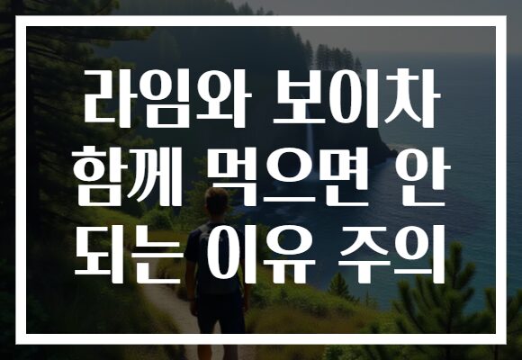 라임와 보이차 함께 먹으면 안 되는 이유 주의