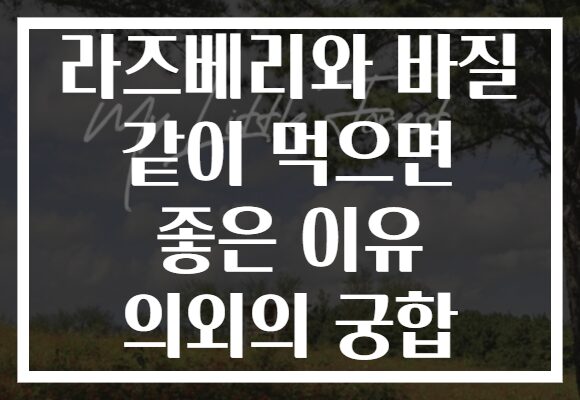 라즈베리와 바질 같이 먹으면 좋은 이유 의외의 궁합