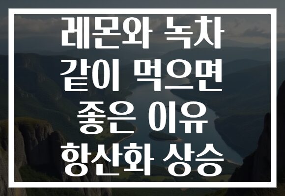 레몬와 녹차 같이 먹으면 좋은 이유 항산화 상승