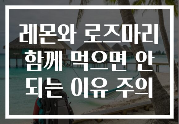 레몬와 로즈마리 함께 먹으면 안 되는 이유 주의