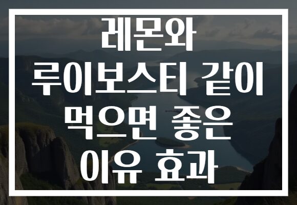 레몬와 루이보스티 같이 먹으면 좋은 이유 효과