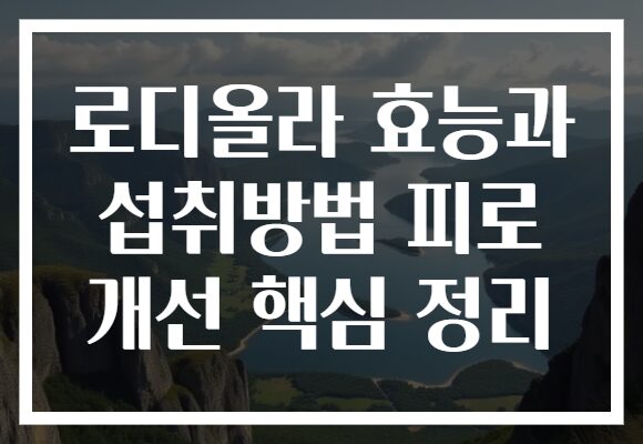 로디올라 효능과 섭취방법 피로 개선 핵심 정리