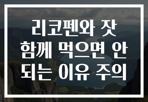 리코펜와 잣 함께 먹으면 안 되는 이유 주의
