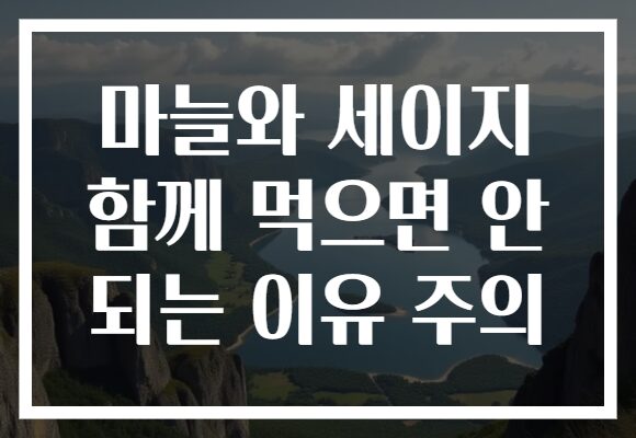 마늘와 세이지 함께 먹으면 안 되는 이유 주의