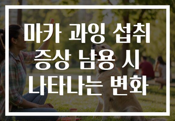 마카 과잉 섭취 증상 남용 시 나타나는 변화