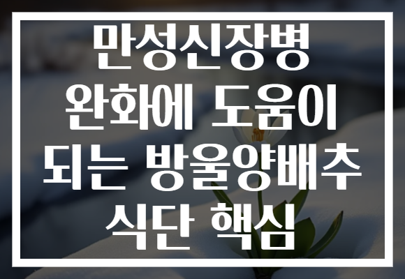 만성신장병 완화에 도움이 되는 방울양배추 식단 핵심