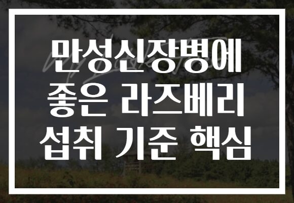 만성신장병에 좋은 라즈베리 섭취 기준 핵심