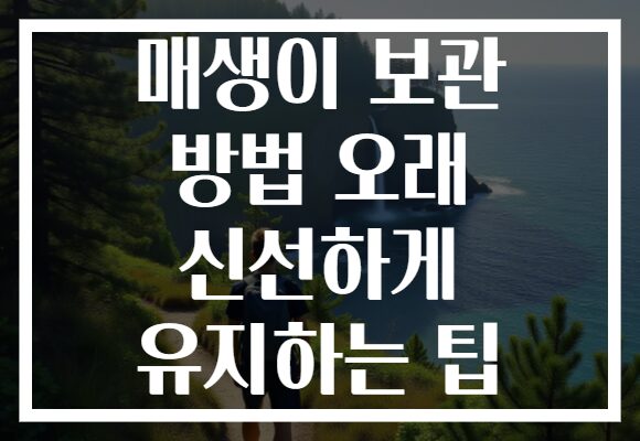 매생이 보관 방법 오래 신선하게 유지하는 팁