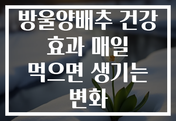 방울양배추 건강 효과 매일 먹으면 생기는 변화