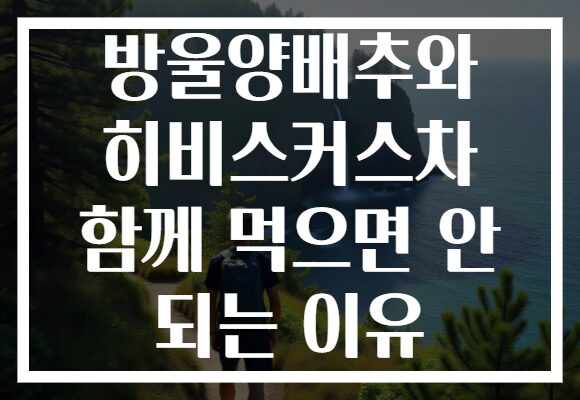 방울양배추와 히비스커스차 함께 먹으면 안 되는 이유