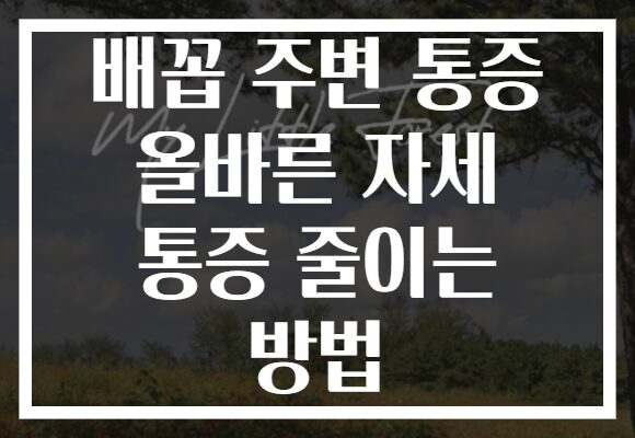 배꼽 주변 통증 올바른 자세 통증 줄이는 방법