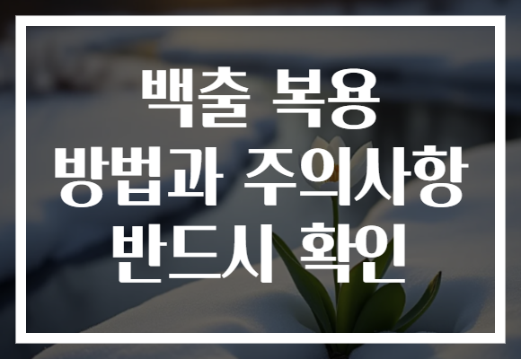 백출 복용 방법과 주의사항 반드시 확인