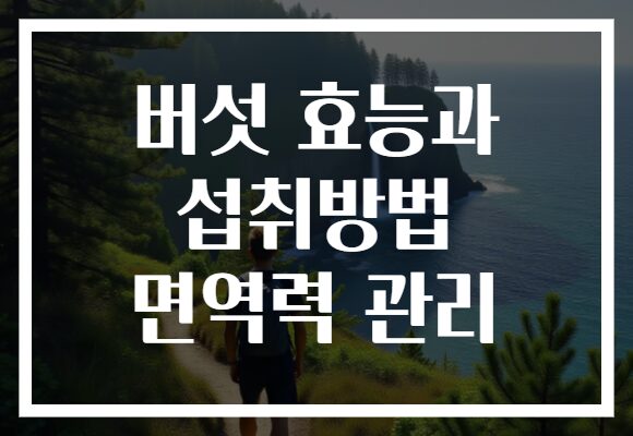버섯 효능과 섭취방법 면역력 관리