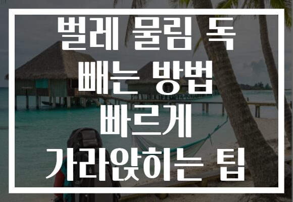 벌레 물림 독 빼는 방법 빠르게 가라앉히는 팁