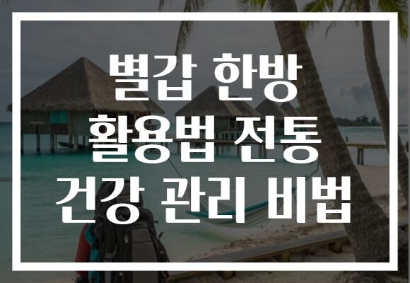 별갑 한방 활용법 전통 건강 관리 비법