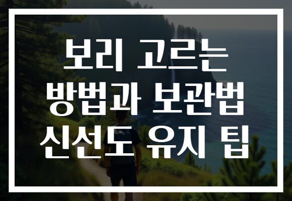 보리 고르는 방법과 보관법 신선도 유지 팁