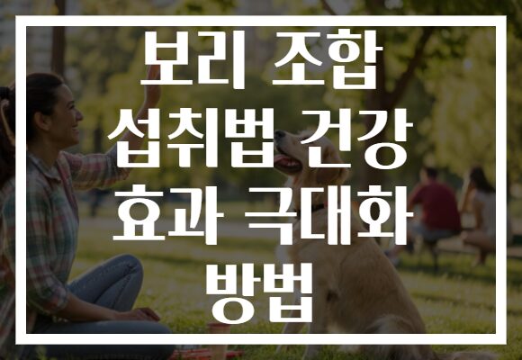보리 조합 섭취법 건강 효과 극대화 방법