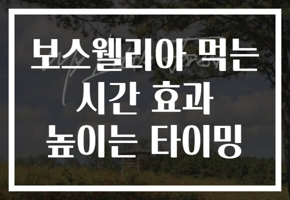 보스웰리아 먹는 시간 효과 높이는 타이밍