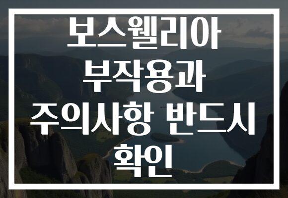 보스웰리아 부작용과 주의사항 반드시 확인