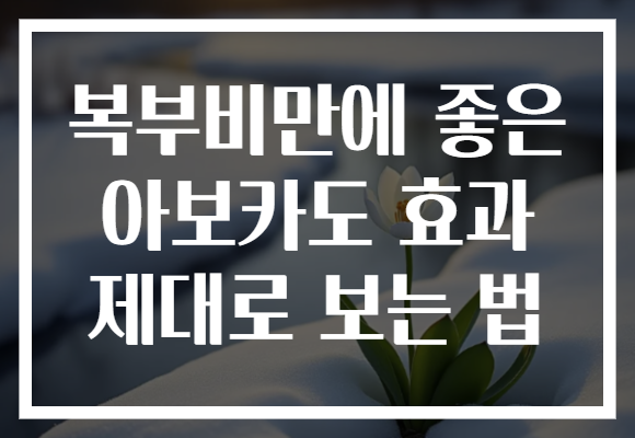 복부비만에 좋은 아보카도 효과 제대로 보는 법