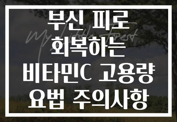 부신 피로 회복하는 비타민C 고용량 요법 주의사항