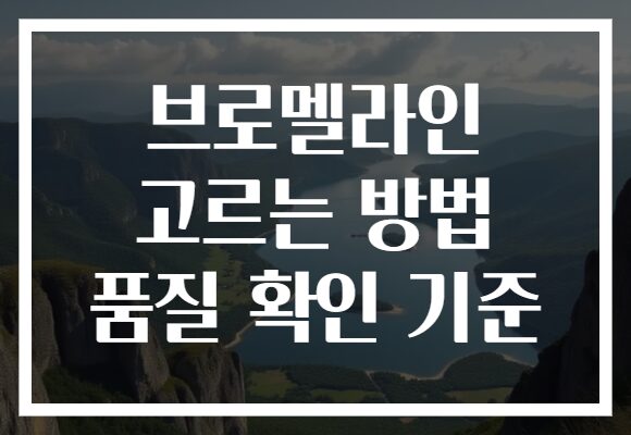 브로멜라인 고르는 방법 품질 확인 기준