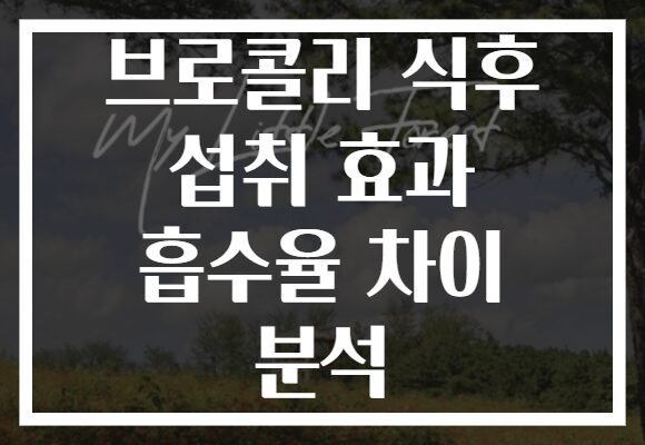 브로콜리 식후 섭취 효과 흡수율 차이 분석