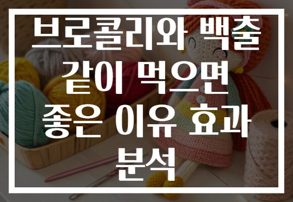 브로콜리와 백출 같이 먹으면 좋은 이유 효과 분석