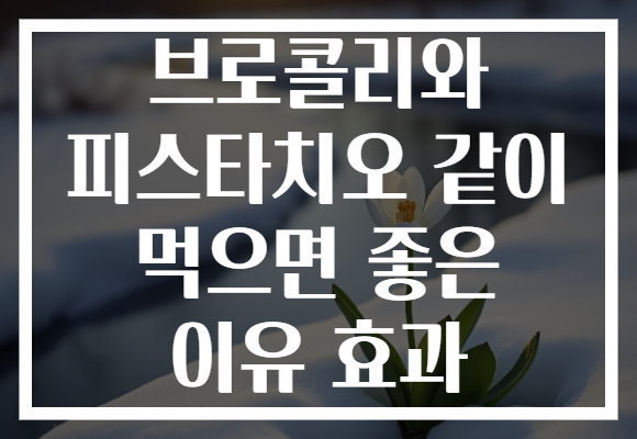 브로콜리와 피스타치오 같이 먹으면 좋은 이유 효과