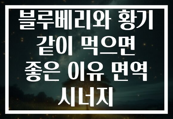 블루베리와 황기 같이 먹으면 좋은 이유 면역 시너지