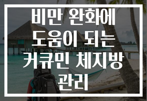 비만 완화에 도움이 되는 커큐민 체지방 관리
