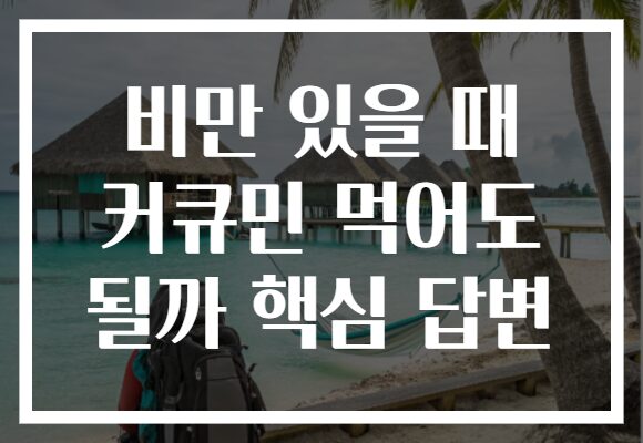 비만 있을 때 커큐민 먹어도 될까 핵심 답변