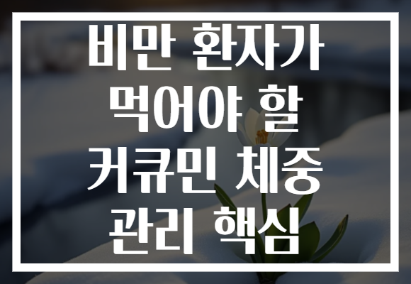 비만 환자가 먹어야 할 커큐민 체중 관리 핵심