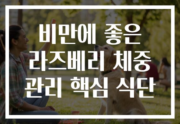 비만에 좋은 라즈베리 체중 관리 핵심 식단