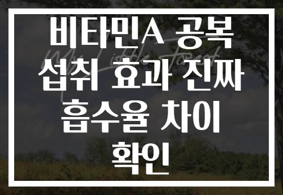 비타민A 공복 섭취 효과 진짜 흡수율 차이 확인
