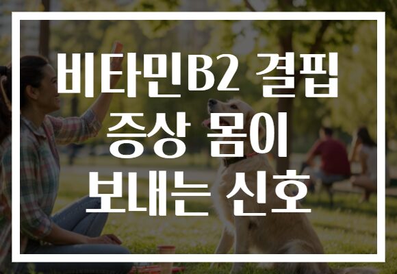 비타민B2 결핍 증상 몸이 보내는 신호