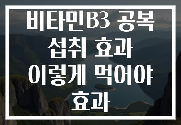 비타민B3 공복 섭취 효과 이렇게 먹어야 효과