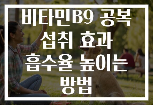 비타민B9 공복 섭취 효과 흡수율 높이는 방법