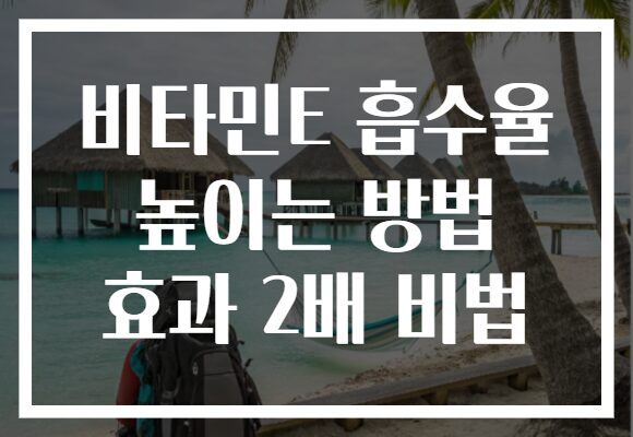 비타민E 흡수율 높이는 방법 효과 2배 비법