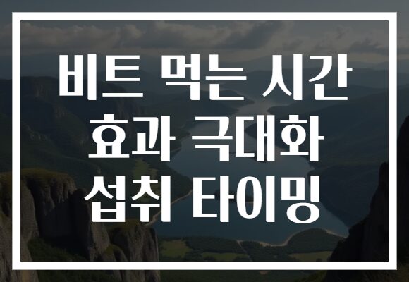 비트 먹는 시간 효과 극대화 섭취 타이밍