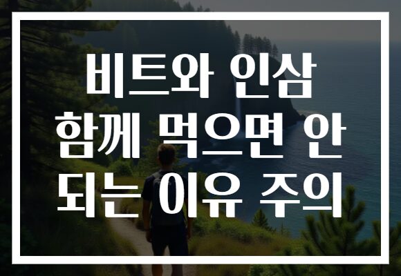 비트와 인삼 함께 먹으면 안 되는 이유 주의