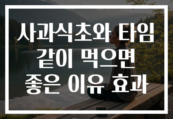 사과식초와 타임 같이 먹으면 좋은 이유 효과
