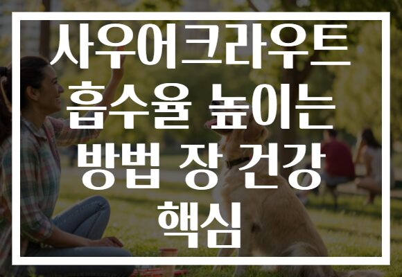 사우어크라우트 흡수율 높이는 방법 장 건강 핵심